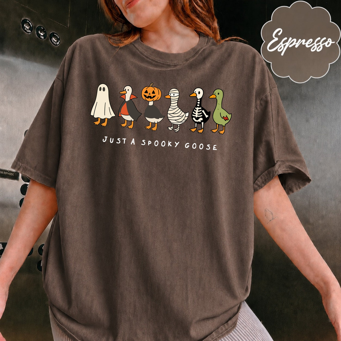 Comfort Colors Halloween Goose shirt, just a Spooky Goose t-shirt, Funny Halloween shirt, Spooky Season, Spooky Goosey Shirt, Retro